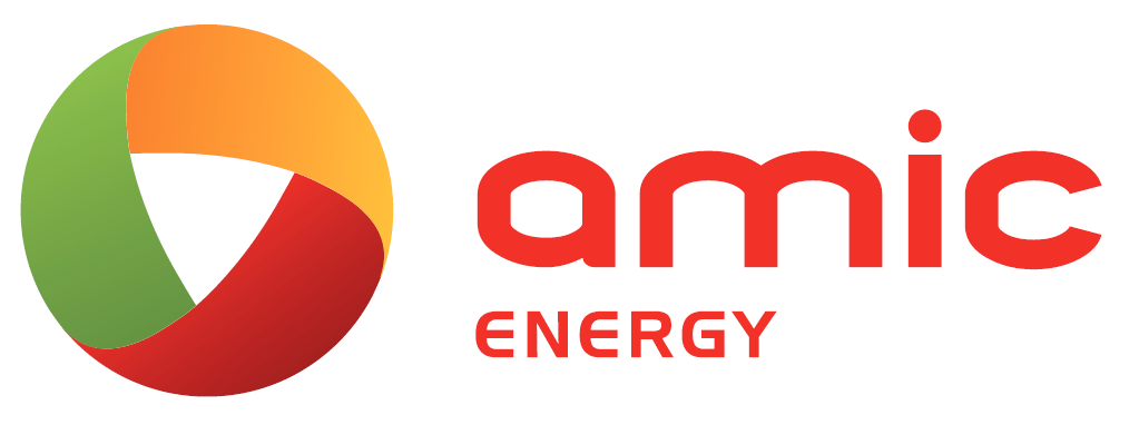 Szkolenie SEP dla: AMIC POLSKA Sp. z o.o.